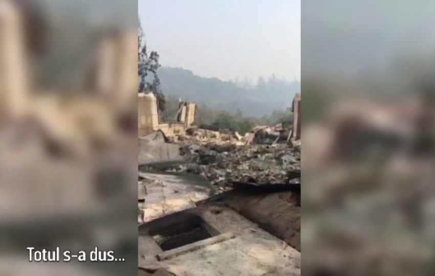 A vrut să filmeze pârjolul din California și și-a regăsit câinele pe care îl credea mort