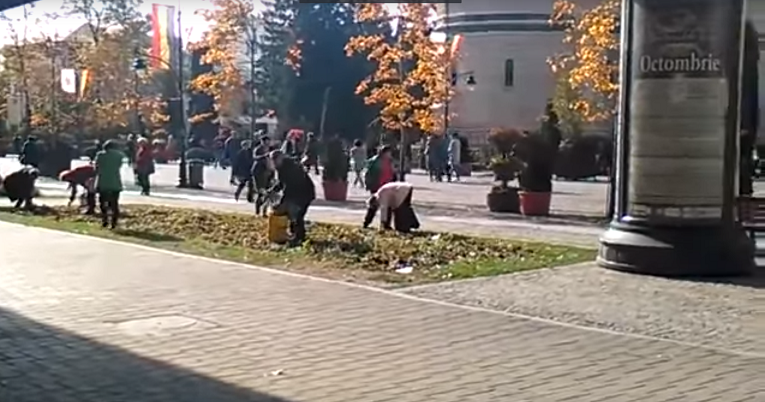 Pelerinii de la Sfânta Parascheva au plecat acasă cu sacoşe de panseluţe rupte din ronduri