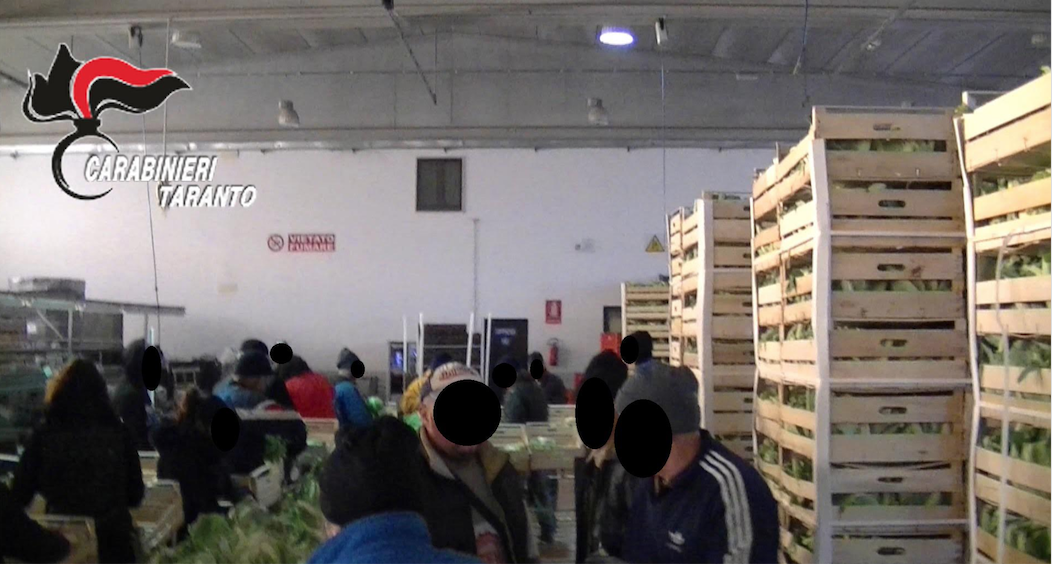 35 de români, exploataţi în Italia pentru 1 euro pe zi. Un compatriot îi "ademenea"