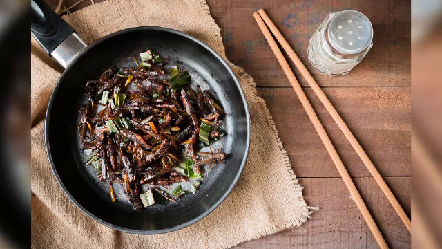 Insectele, o obişnuinţă în meniurile restaurantelor din România. Resursele planetei, pe cale de dispariţie