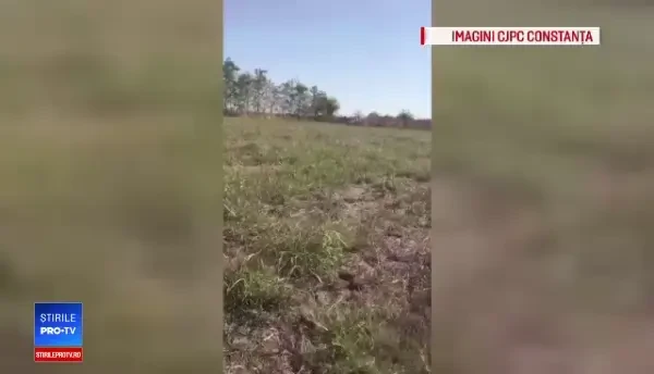 Piețele românești abundă de intermediari care vând produse cumpărate din depozite