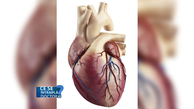 Funcționarea mușchiului cardiac ne arată în ce stare sunt arterele