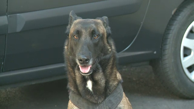 Bărbatul din Neamț convertit la islamism, adus în fața judecătorilor. Vrea să fie eliberat