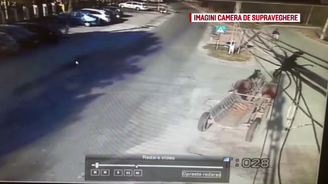 O femeie și un biciclist, spulberați de 2 cai nesupravegheați