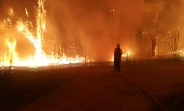 Aproape 40 de morți în urma incendiilor din Portugalia și Spania. Rajoy: Nu a fost un incident