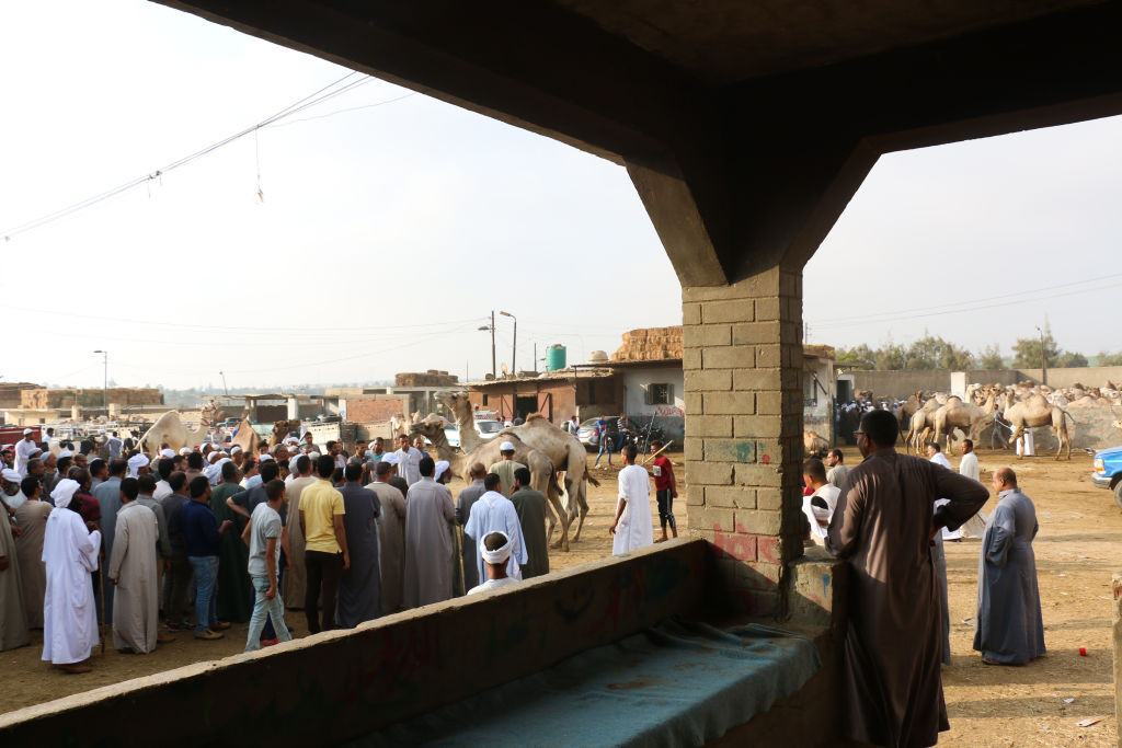 Turiști români, blocați în Egipt, după ce Omnia Turism nu le-a plătit cazarea