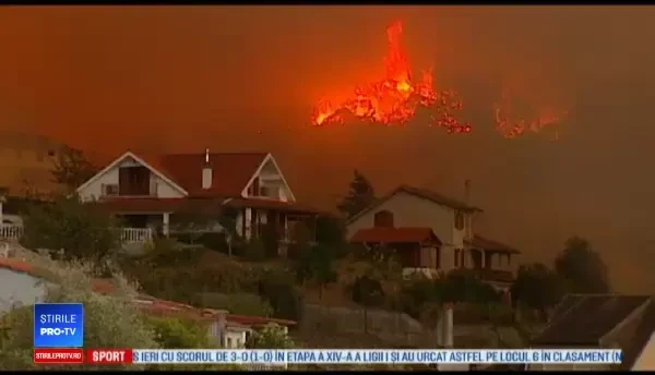 Aproape 40 de morți în urma incendiilor din Portugalia și Spania