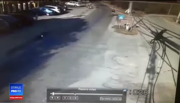 O femeie și un biciclist, spulberați de 2 cai nesupravegheați