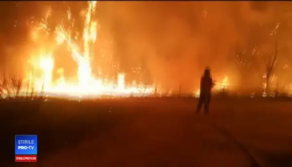 Aproape 40 de morți în urma incendiilor din Portugalia și Spania. Rajoy: Nu a fost un incident