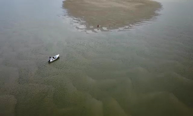 Decizia luată de Guvern după campania Știrile ProTV ”Un fluviu de prostie”