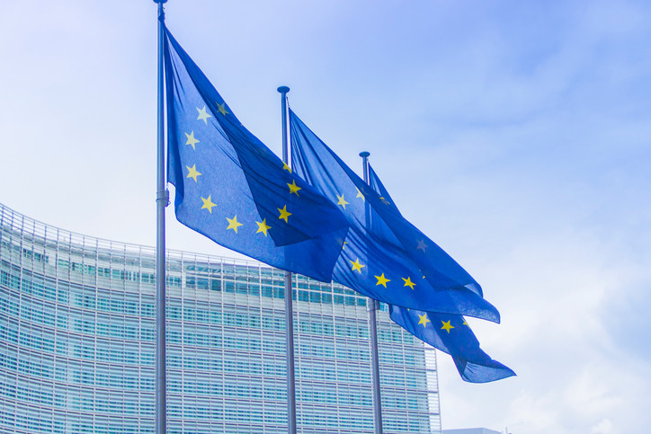 Europarlamentari români din PPE: Asocierea României cu Articolul 7 este excesivă