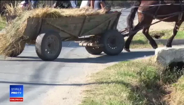 Fost jandarm din Dâmbovița, reținut după ce a băgat un bărbat în spital