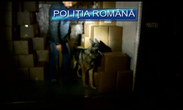 Șofer sârb, care transporta 600 de baxuri de țigări, reținut de polițiști