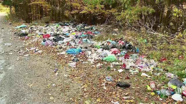 Lacul Tarniţa, înecat în gunoaie. Autorităţile nu se decid cine să le strângă