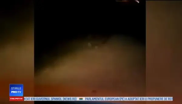 Incident straniu în Dâmbovița. Urs filmat în zona de câmpie, departe de pădure