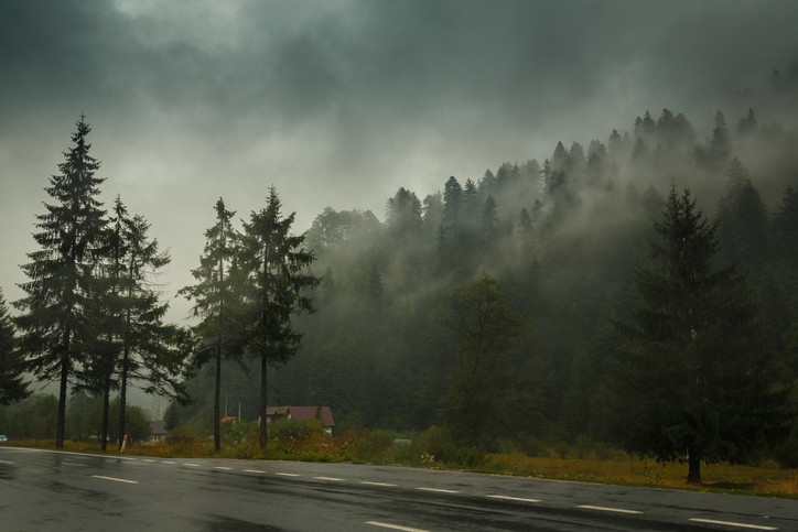 Cod galben de ceaţă în 19 judeţe, vizibilitate extrem de scăzută