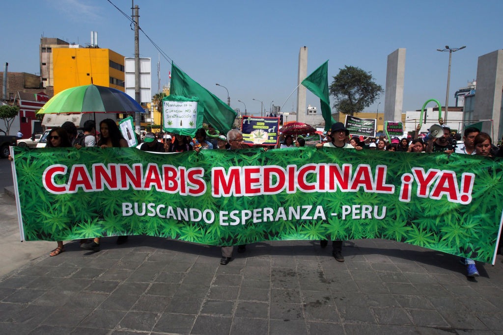Mai multe mame, prinse producând ilegal ulei de canabis, au determinat legalizarea marijuanei în Peru