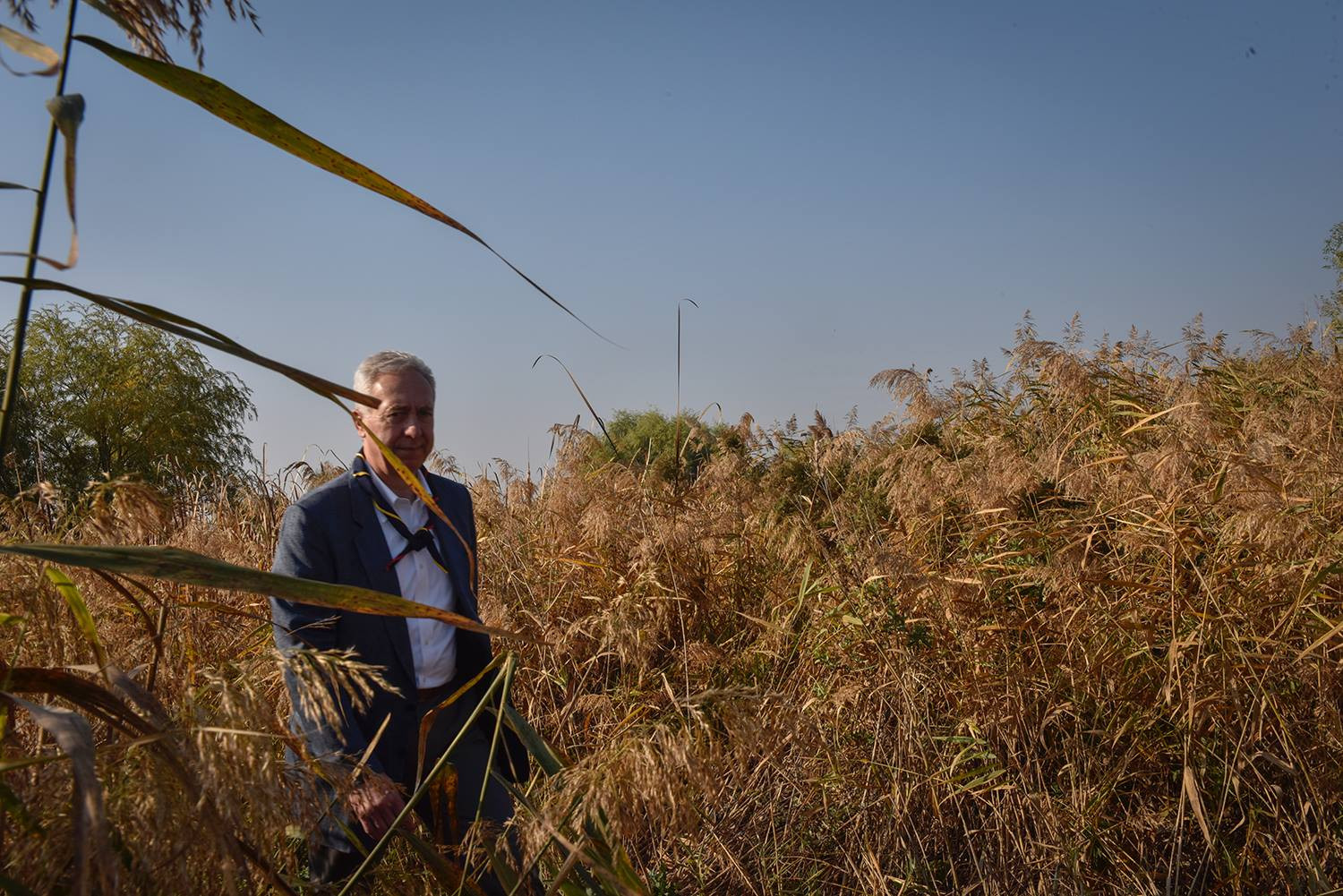 Premierul Dăncilă, vizitat de ambasadorul SUA. Şi alţi diplomaţi vor să discute cu ea