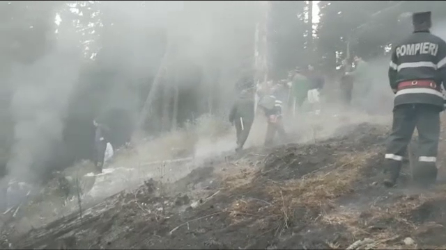 Pârjol în Dâmbovița, unde aproape un hectar de pădure a ars