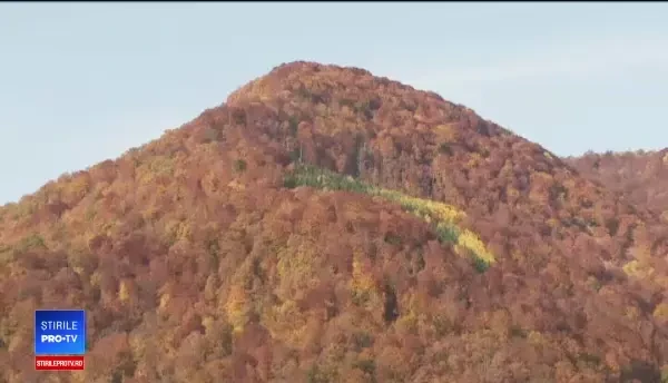 Lacul Tarniţa, înecat în gunoaie. Autorităţile nu se decid cine să le strângă
