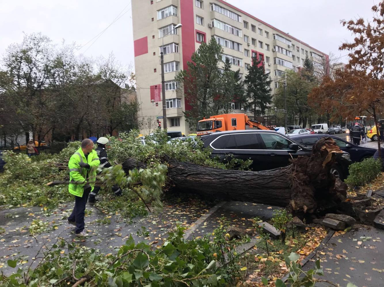 Bilanțul codului de vreme rea. 3 răniți și 72 de autoturisme avariate. Un copac a lovit o aripă a Spitalului Obregia