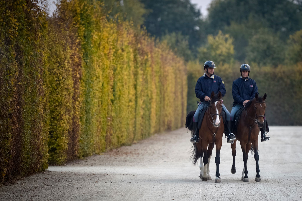 Bărbat din Florida, reținut pentru că a dat o palmă unui cal