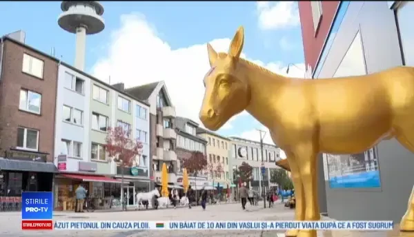 Măgarul ar putea deveni simbol la semafoarele dintr-un oraș german