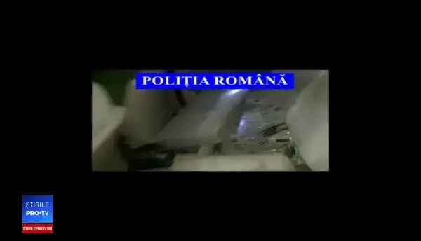 Braconieri prinși de polițiști cu un porc mistreț în portbagaj