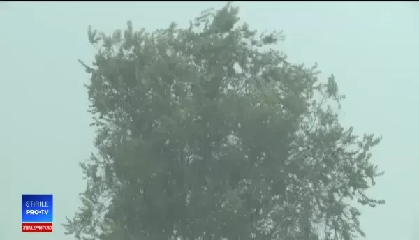 Anul anomaliilor climatice. Efectele cedării mai devreme a vortexului polar