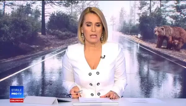 Ursul care a rănit doi oameni, în Făgăraș, va fi împușcat