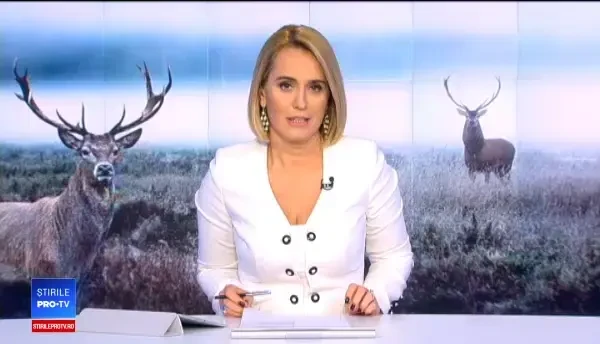 Imagini spectaculoase surprinse de pădurari în Suceava