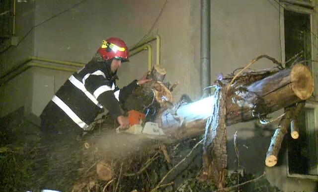 146 de copaci doborâți de vânt, 80 de mașini avariate în Capitală. Condițiile în care sunt despăgubiți șoferii