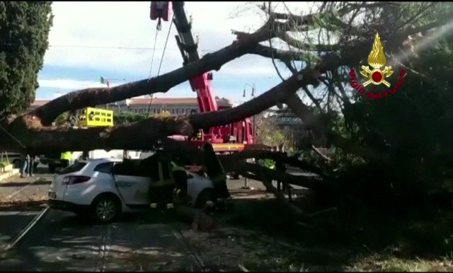 Un copac de 25 de metri a căzut peste un taxi cu turiști, la Roma