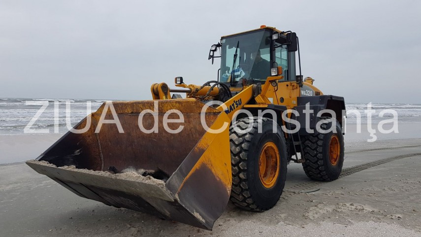 Mistreţi morţi, pe plaja din Mamaia, în faţa hotelurilor. Cum ar fi ajuns acolo