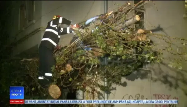 Furtuna a făcut ravagii în Capitală: 146 de copaci doborâți de vânt, 80 de mașini avariate