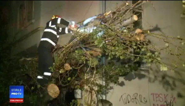 Furtuna a făcut ravagii în Capitală: 146 de copaci doborâți de vânt, 80 de mașini avariate