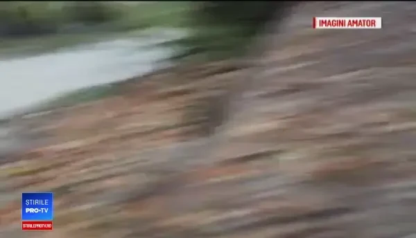 Prăpăd în mai multe orașe, după furtună. Copaci smulși, curți inundate și porturi închise