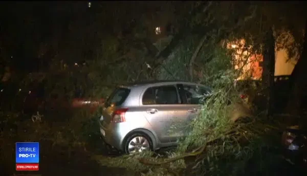146 de copaci doborâți de vânt, 80 de mașini avariate în Capitală. Condițiile în care sunt despăgubiți șoferii