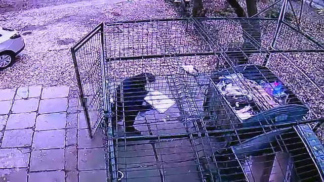 Motivul pentru care au fost instalate camere video la o ghenă de gunoi, în Craiova