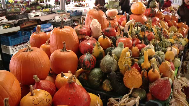 Dovlecii, sursă de bani pentru fermierii români, în prag de Halloween. Preţul unui bostan