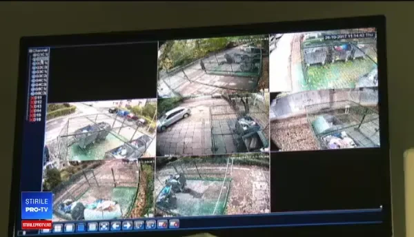 Motivul pentru care au fost instalate camere video la o ghenă de gunoi, în Craiova