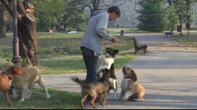 Sârbii preferă să își îngroape animalele de companie decât să le incinereze