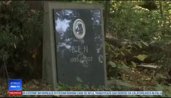 Sârbii preferă să își îngroape animalele de companie decât să le incinereze