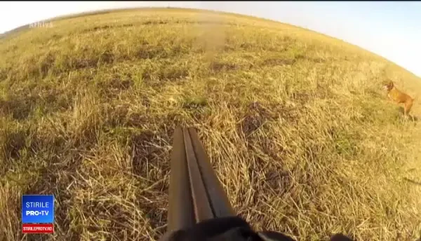 Bărbat împușcat mortal la o partidă de vânătoare, în Bihor. A fost un accident