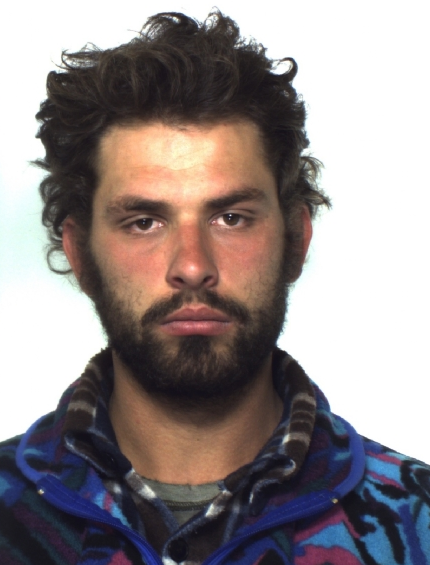 danielle ciobani romani