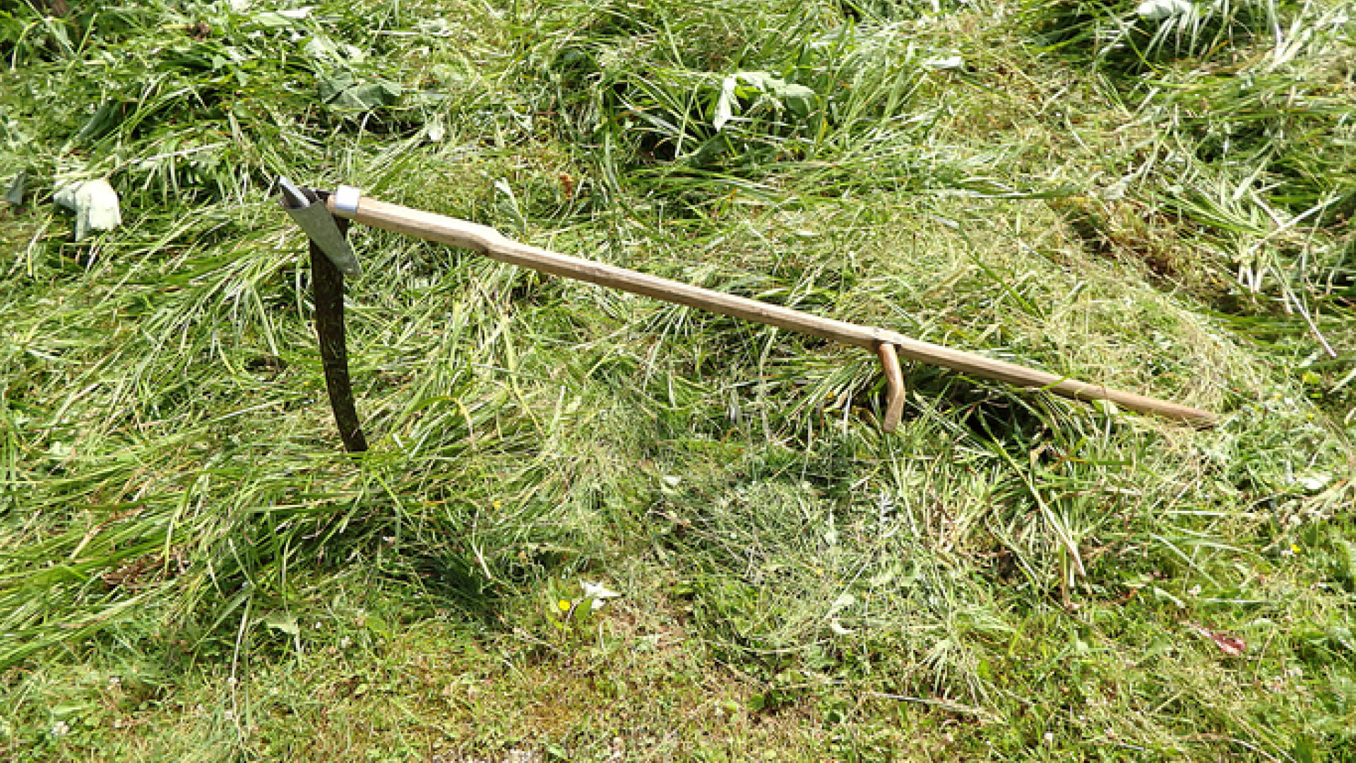 Bihorean închis după ce a aruncat cu coasa în ginerele său şi l-a nimerit prin parbriz