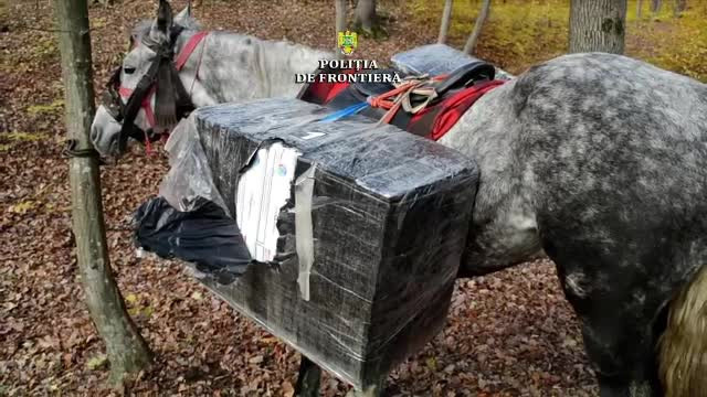 Prins de poliţişti când făcea de trafic de ţigări călare pe cal