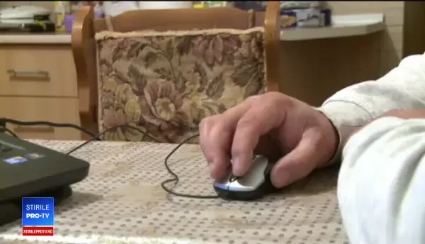 Porcii fermierilor români au pagini personale pe Facebook. Astăzi îi vând doar pe internet