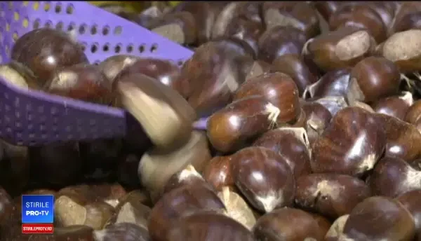 Românii au prins gustul castanelor. Rețeta pentru un mousse cu parmezan