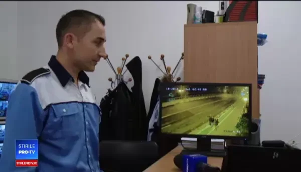 Turiști austrieci, filmați în timp ce distrug ghivecele în Timișoara. Nicolae Robu: Alcool la bord